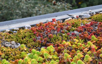 the cost of Beeley green roof installation
